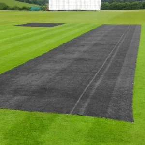 Grass Germination Sheet