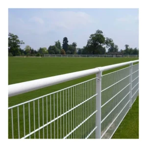 Premier Football Pitch Crowd Control Barrier (Custom And Full System)